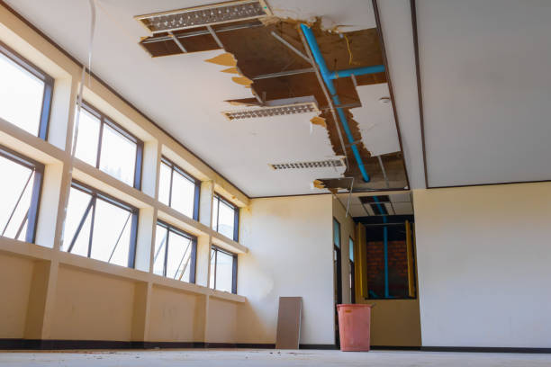 Best Residential water damage restoration  in Chula Vista, TX