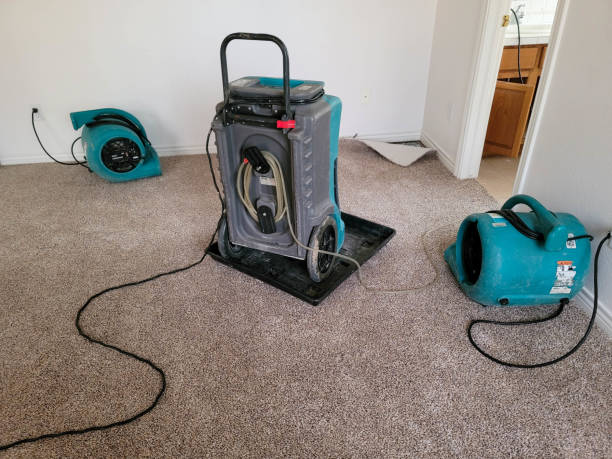 Best Flood damage cleanup  in Chula Vista, TX
