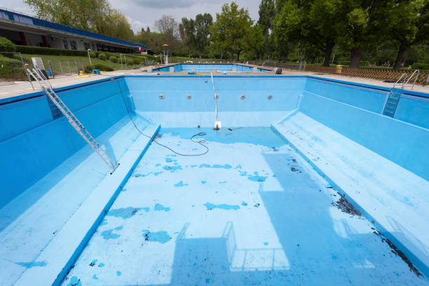 Best Flood restoration services  in Chula Vista, TX