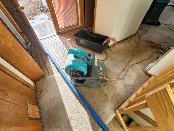  Chula Vista, TX Water damage restoration Pros