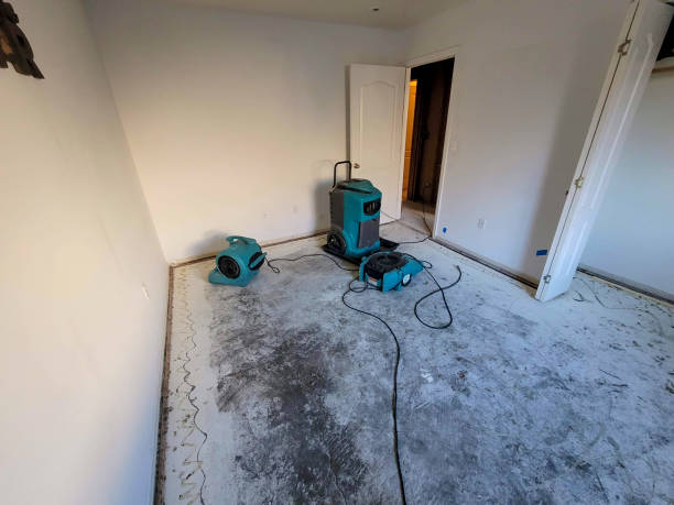 Best Water damage restoration near me  in Chula Vista, TX