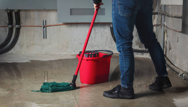 Best Carpet water damage restoration  in Chula Vista, TX