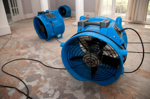 Best Fire Damage Restoration  in Chula Vista, TX