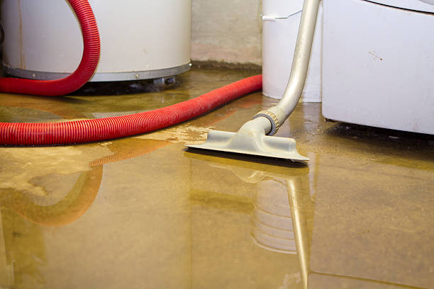 Best Water damage restoration company  in Chula Vista, TX