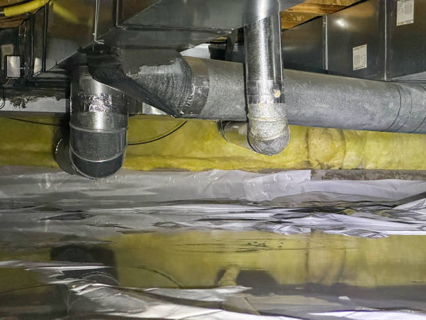Best Basement water damage restoration  in Chula Vista, TX