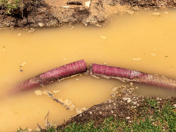 Best Water damage restoration insurance claims  in Chula Vista, TX