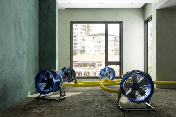 Best Local water damage restoration  in Chula Vista, TX