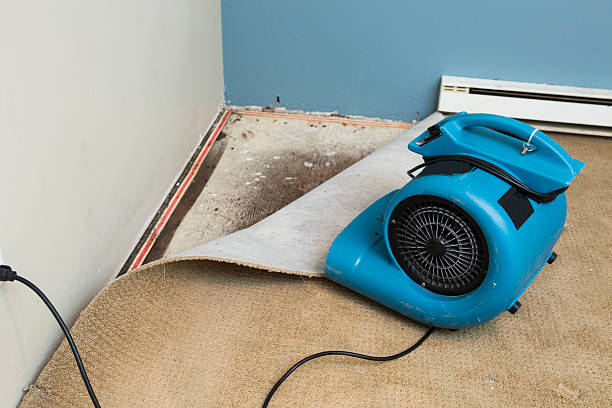Best Emergency water damage restoration  in Chula Vista, TX